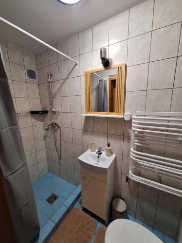 a bathroom with a toilet and a shower and a sink at Apartament Alicja in Chmielno