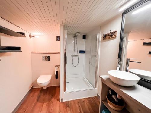 a bathroom with a shower and a sink and a toilet at L'Ecrin de Jade - Valloire in Valloire
