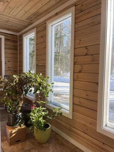 a room with two windows and potted plants at Pura Vida | A Calm Apt Escape Minutes from Camden in Camden