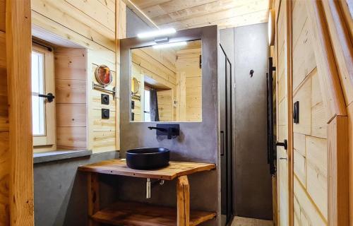 a small bathroom with a sink and a mirror at Chalet La Tourelle - Valloire in Valmeinier