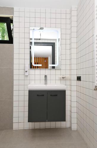 a bathroom with a sink and a mirror at Pine Aparthotel in Shekhvetili