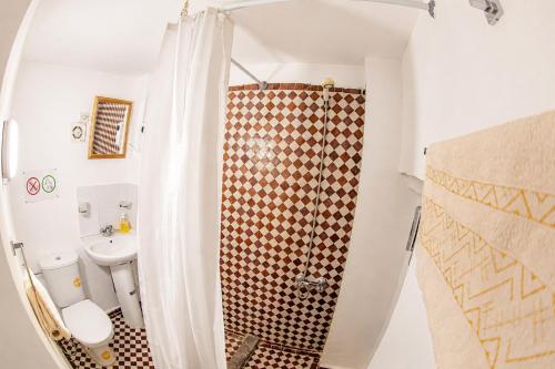 a bathroom with a toilet and a shower at Dar Mayssa Fez in Fez