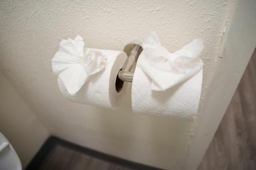 a roll of toilet paper sitting on a holder at Horizon Inn Norcross in Norcross
