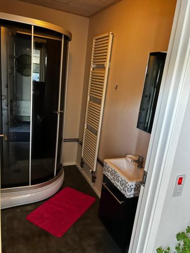 a bathroom with a shower and a red rug at Eventyrborgen in Eskilstrup