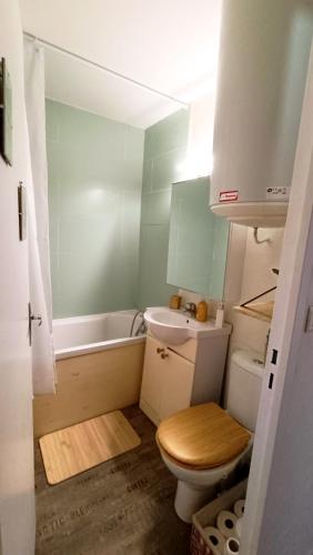 a small bathroom with a toilet and a sink at Appartement L'esprit marin in Villers-sur-Mer