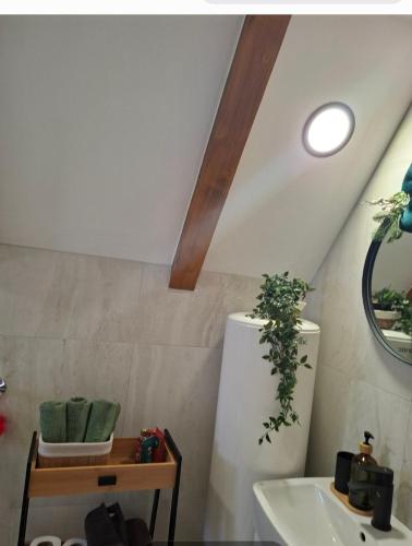 a bathroom with a sink and a white refrigerator at Ninina koliba-vikendica Manjaca in Hiseti