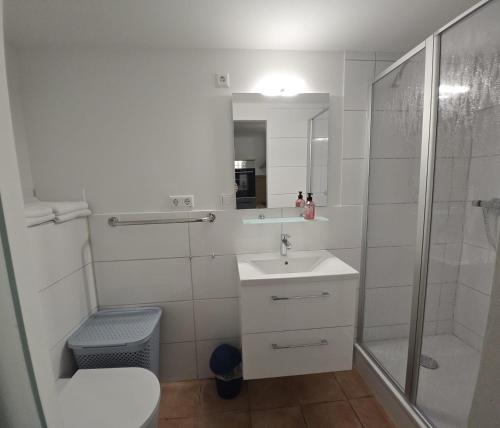 a bathroom with a shower and a sink and a toilet at Wider Apartment UG mit Tageslicht in Gottmadingen