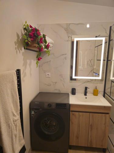 a bathroom with a washing machine and a sink at Le Nid De Mouroux - Disney 20 min - Clim & Parking in Mouroux
