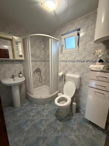 a bathroom with a toilet and a shower and a sink at Villa Asa with private Jacuzzi in Vir