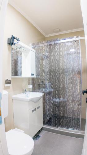 a bathroom with a shower and a toilet and a sink at Family Inn in Subotica