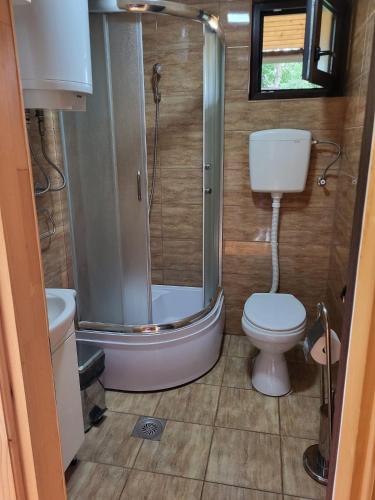 a small bathroom with a toilet and a shower at Vila Arena in Mandići