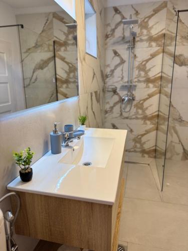 a bathroom with a sink and a shower at Casa Crisan in Topliţa