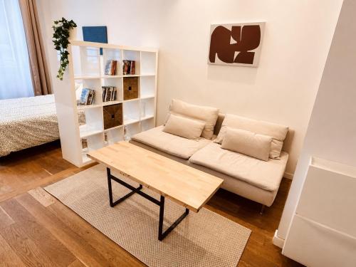 Spacious Studio - Central Paris