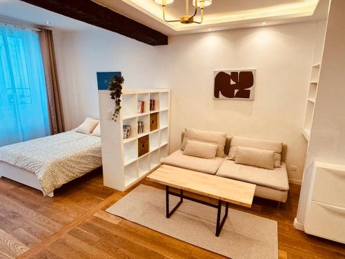 Spacious Studio - Central Paris
