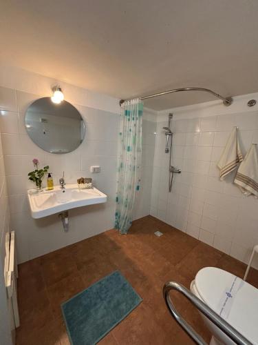 a bathroom with a sink and a shower and a toilet at Agriturismo Feudo Tudia in Resuttano