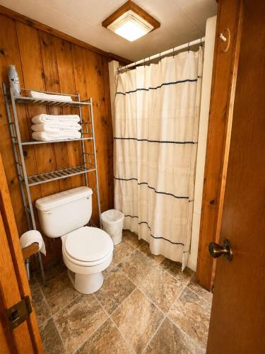 a bathroom with a toilet and a shower curtain at A Shore Thing: Beach Access in Saint Germain