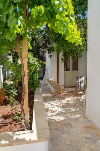 a patio with a tree and a bench at da Mescia Maria in Morciano di Leuca