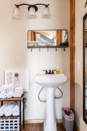 a bathroom with a sink and a mirror at Hill Country Cabin 3 in Canyon Lake
