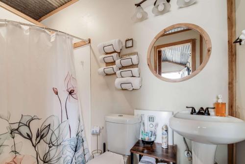 a bathroom with a toilet and a sink and a mirror at Hill Country Cabin 2 in Canyon Lake