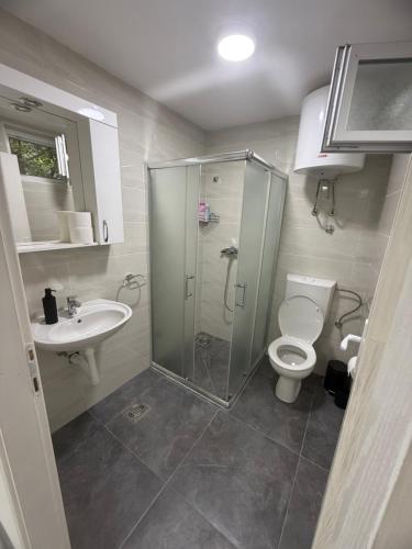 a bathroom with a shower and a toilet and a sink at Apartmani L&V in Kula