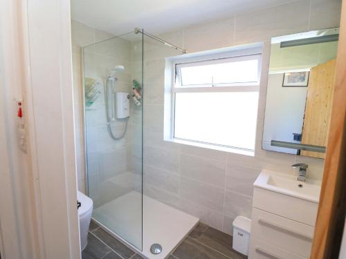 a bathroom with a shower and a toilet and a window at Teach Feirme in Clonakilty