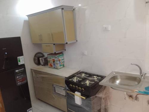 a small kitchen with a stove and a sink at Abu sobh holiday in Alexandria