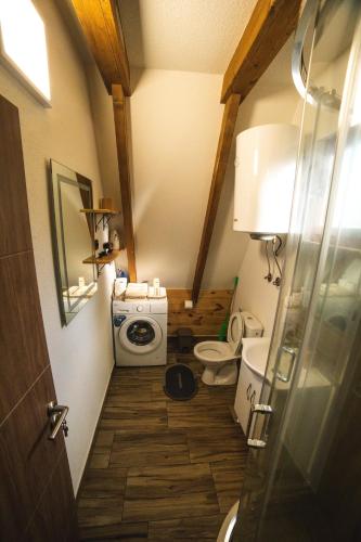 a small bathroom with a toilet and a sink at Poscenje in Šavnik
