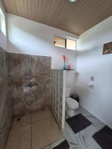 a bathroom with a shower and a toilet at Fare Hanihau in Uturoa