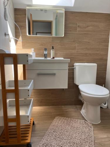 a bathroom with a toilet and a sink and a mirror at Penzion Richnava in Štiavnické Bane