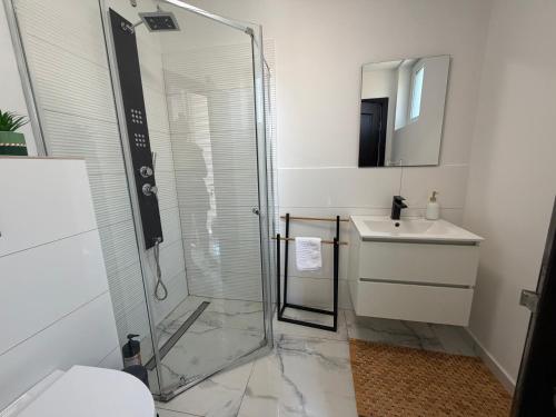 a bathroom with a glass shower and a sink at Concept Residence in Târgu-Mureş