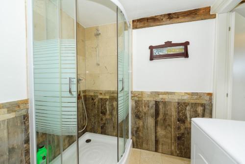 a bathroom with a shower and a toilet at Doru' Bucovinei in Moldoviţa