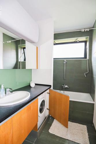 a bathroom with a sink and a washing machine at Balino C1 in Balatonlelle