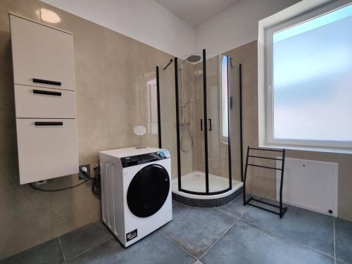 a bathroom with a shower and a washing machine at Apartment Sarah LIL SIS in Tulln