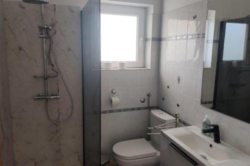 a bathroom with a shower and a toilet and a sink at Apartment Ugljan 846b in Ugljan