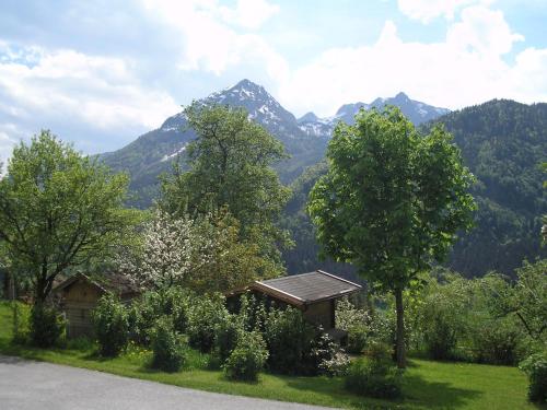 a house with a view of a mountain at Haus Oberhaslach in Abtenau