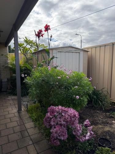 a garden with purple flowers in a yard at Sweet Single in Wellard