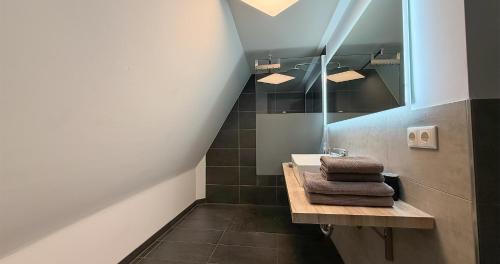 a bathroom with a sink and a mirror at Alter Kornspeicher in Havelberg
