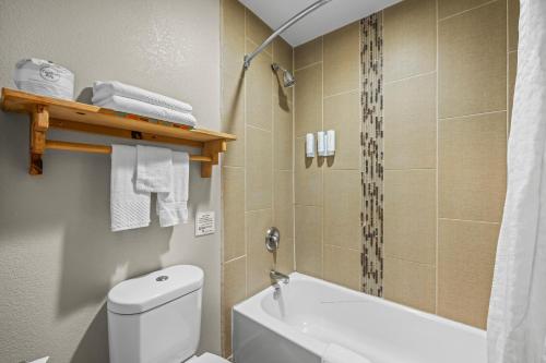 a bathroom with a white toilet and a shower at Econo Lodge Inn & Suites Santa Fe South in Santa Fe