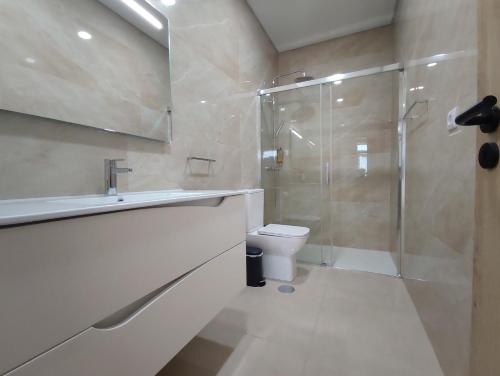 a bathroom with a shower and a toilet and a sink at Barcelos Habadia Adega in Lijó