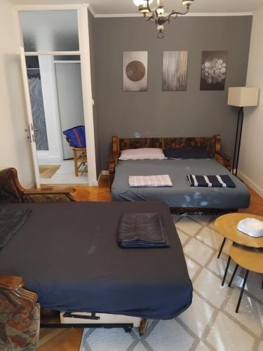 two beds in a room with a couch and a table at Ksandra in Topla