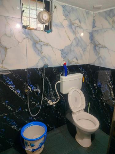 a bathroom with a white toilet and a shower at Manjunatha nilaya sute delux ordinary room in Kollūru