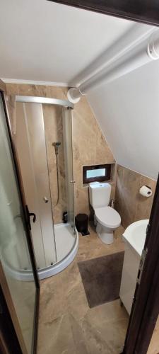 ein kleines Badezimmer mit Toilette und Waschbecken in der Unterkunft Cabanuta Lunca in Lunca