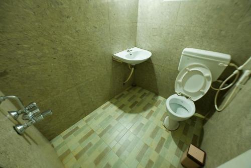 a bathroom with a toilet and a sink at Shabeer's White Castle in Ooty