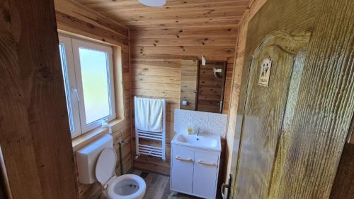 a wooden bathroom with a toilet and a sink at Cabana Relax Time in Vălişoara