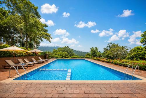 a swimming pool with chairs and umbrellas on a patio at Sterling Kadumane Hills Sakleshpur in Sakleshpur