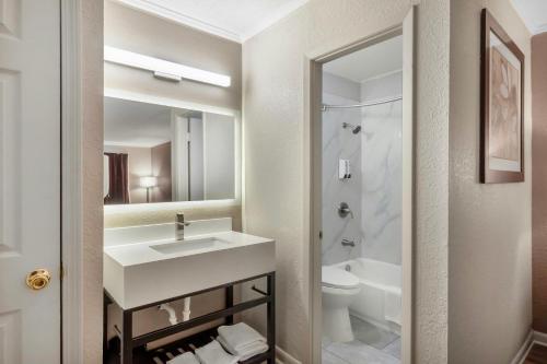a bathroom with a sink and a toilet and a mirror at Red Roof Inn Manchester, TN in Manchester