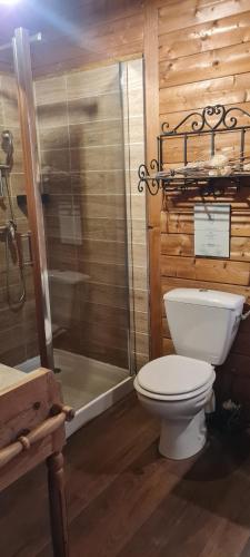 a bathroom with a toilet and a shower at Rêve perché in Apt