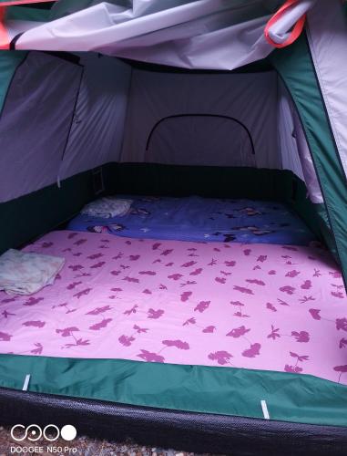 an open tent with a bed in it at Tente tout confort in Sarrancolin