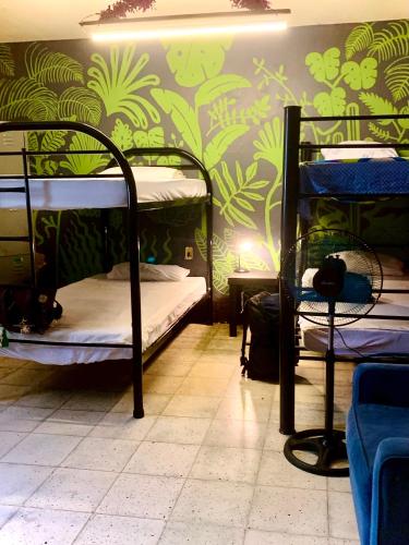 a room with three bunk beds and a wall with plants at Hostal Casa Margarito in Guadalajara