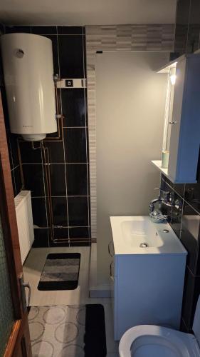 a bathroom with a sink and a toilet and a shower at Apartament Balto in Borsec